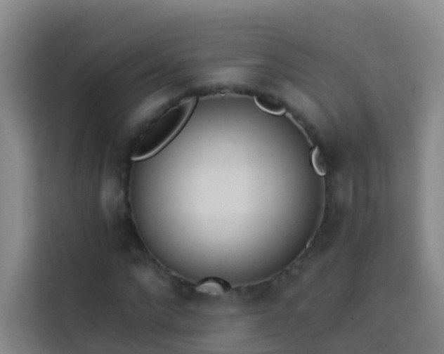 X0000114030872200910021436