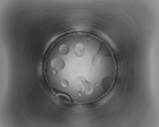 X0000114030875200910021436