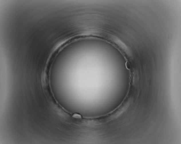 X0000114030876200910021436
