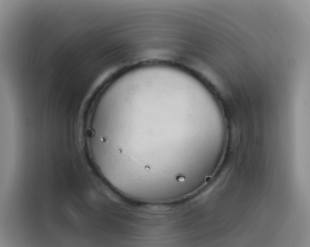 X0000114030878200910021436