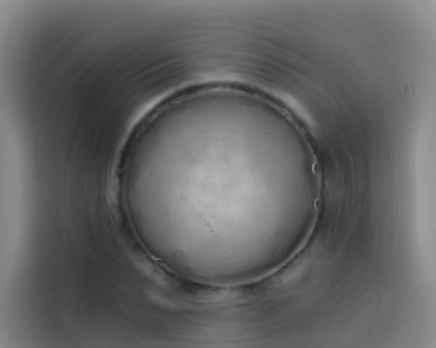 X0000114030879200910021436