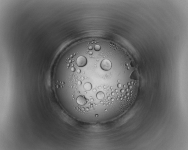 X0000114030883200910021436
