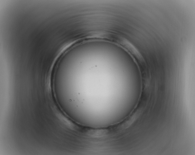 X0000114030884200910021436