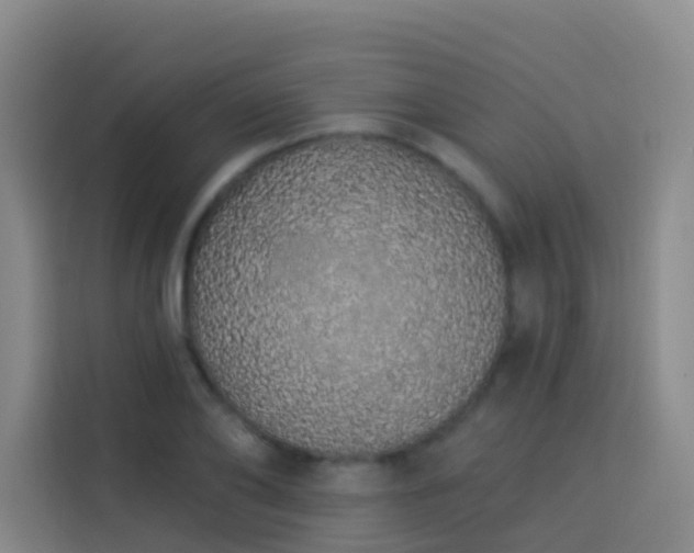 X0000114030886200910021436