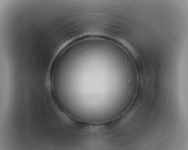 X0000114030887200910021436