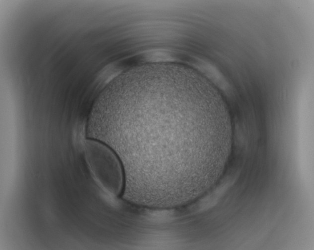 X0000114030889200910021436