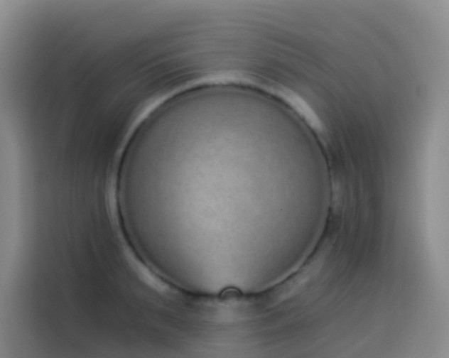 X0000114030895200910021436