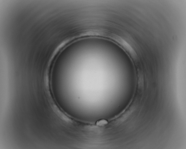 X0000114030896200910021436