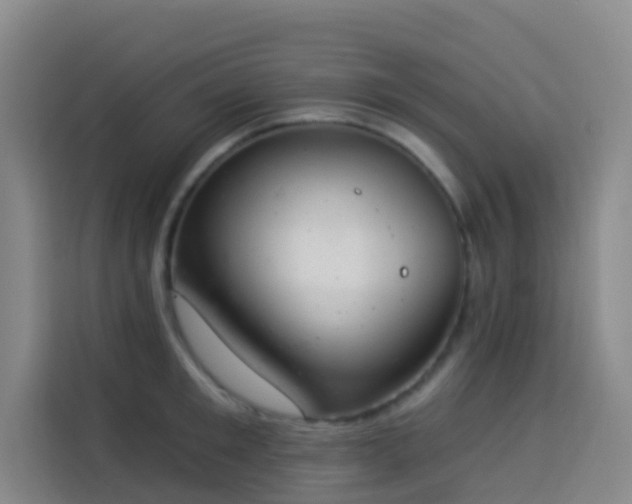 X0000114030901200910021436