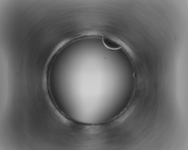 X0000114030902200910021436