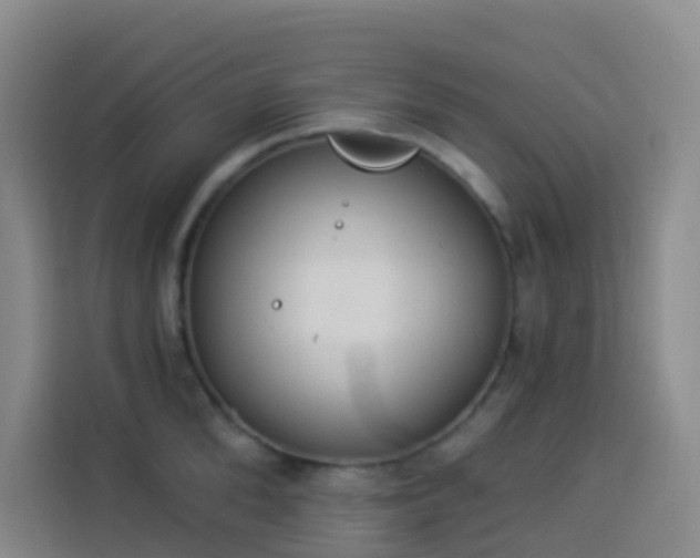 X0000114030904200910021436