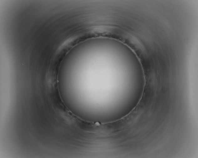 X0000114030920200910021435