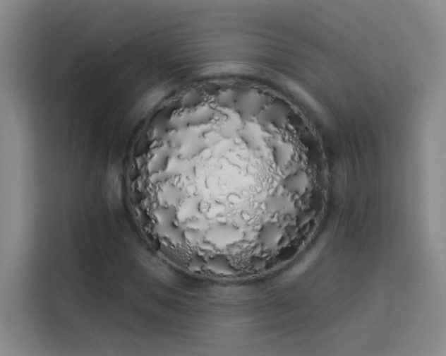 X0000114030921200910021435