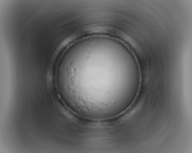 X0000114030922200910021435