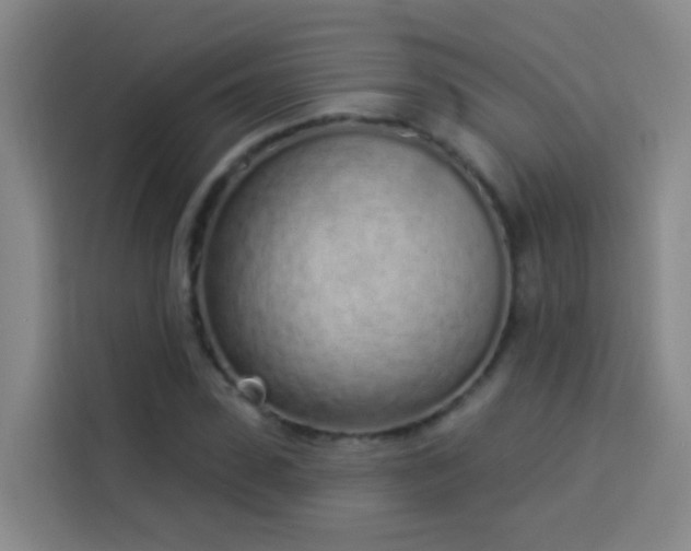 X0000114030923200910021435