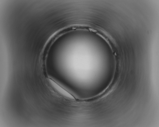 X0000114030926200910021435