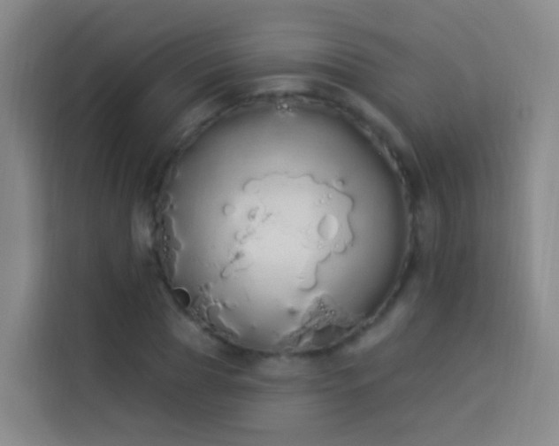 X0000114030929200910021435