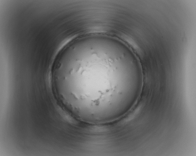 X0000114030933200910021435