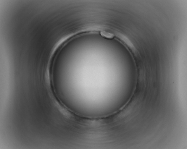 X0000114030936200910021435
