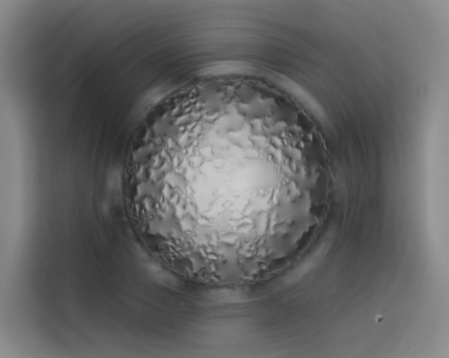 X0000114030937200910021436