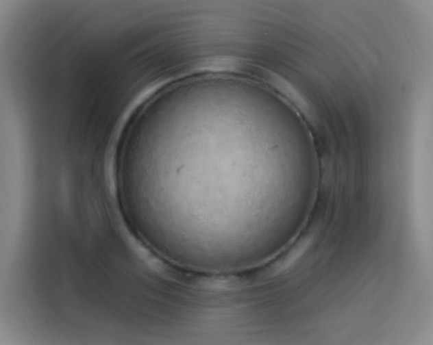 X0000114030939200910021436