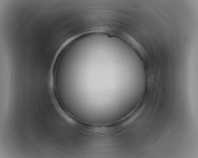 X0000114030940200910021436