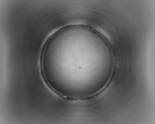 X0000114030943200910021436