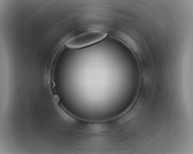 X0000114030946200910021436