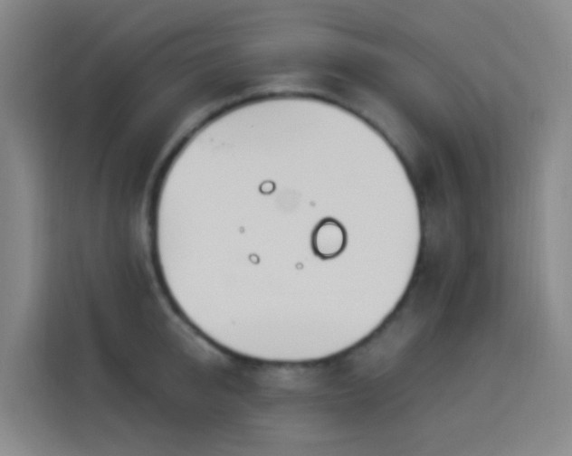 X0000114030950200910021436