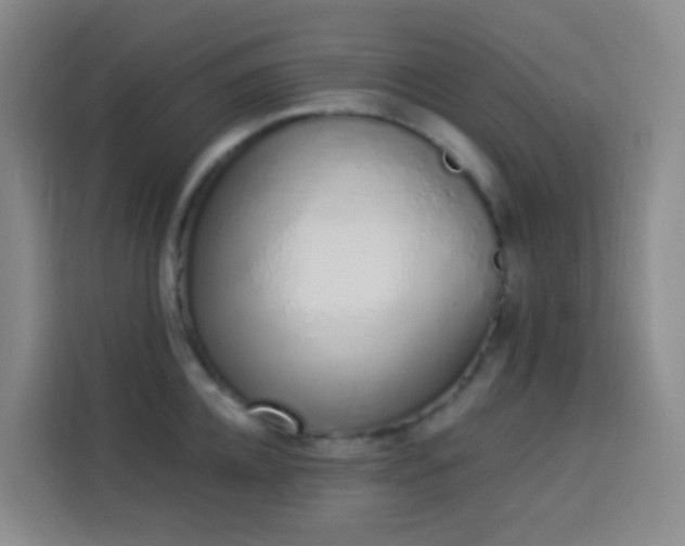 X0000114030952200910021436