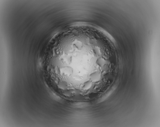 X0000114030953200910021436