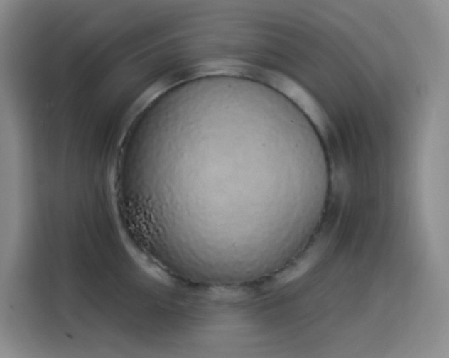 X0000114030954200910021436