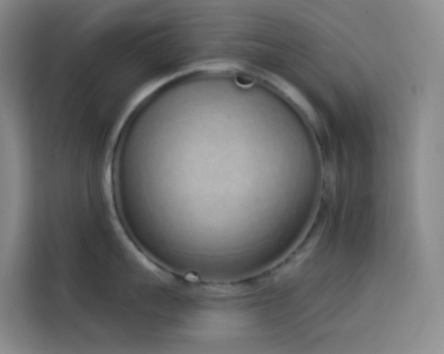 X0000114030959200910021436
