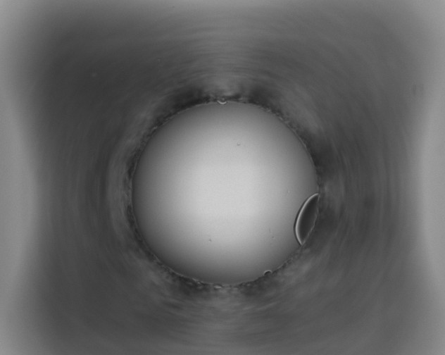 X0000114030961200910021435