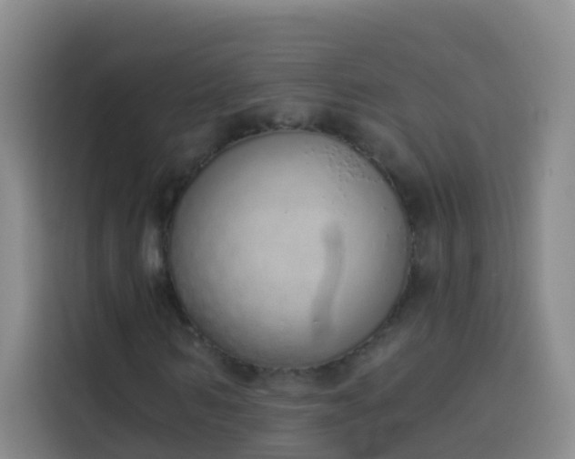 X0000114030962200910021435