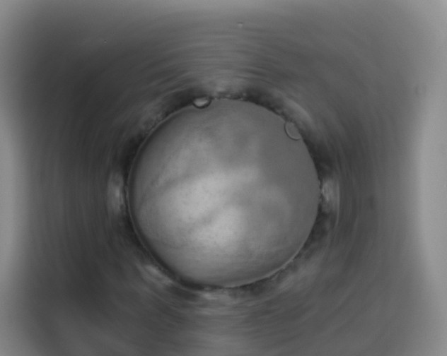 X0000114030963200910021435