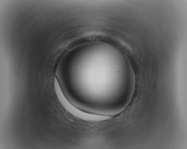 X0000114030965200910021435