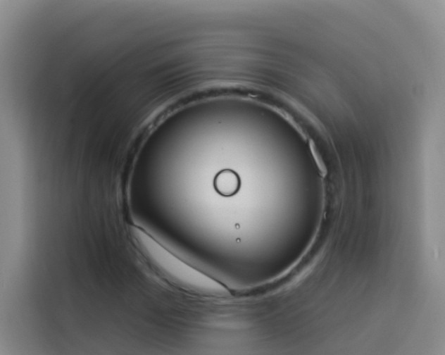 X0000114030969200910021435