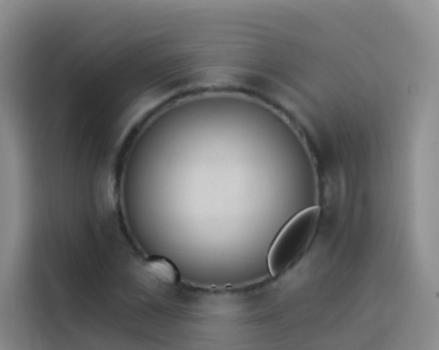 X0000114030973200910021435