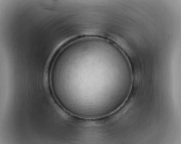 X0000114030976200910021435