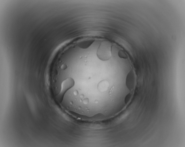 X0000114030979200910021435