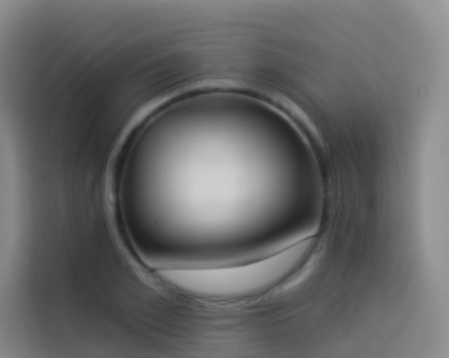 X0000114030981200910021435