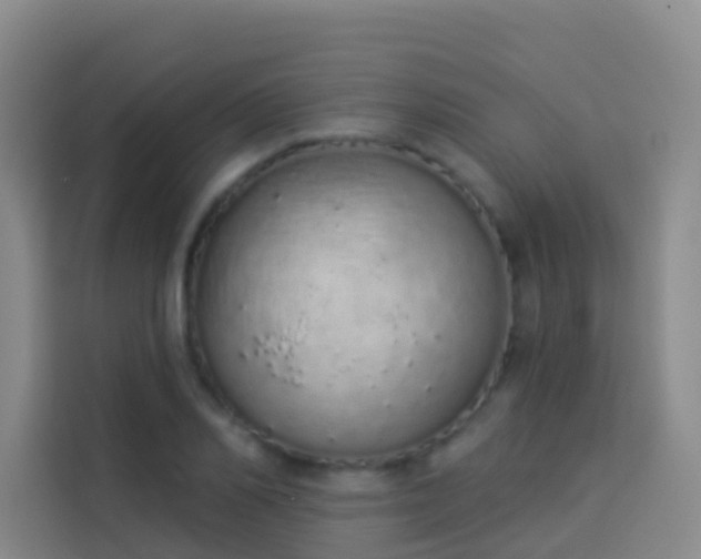 X0000114030982200910021435