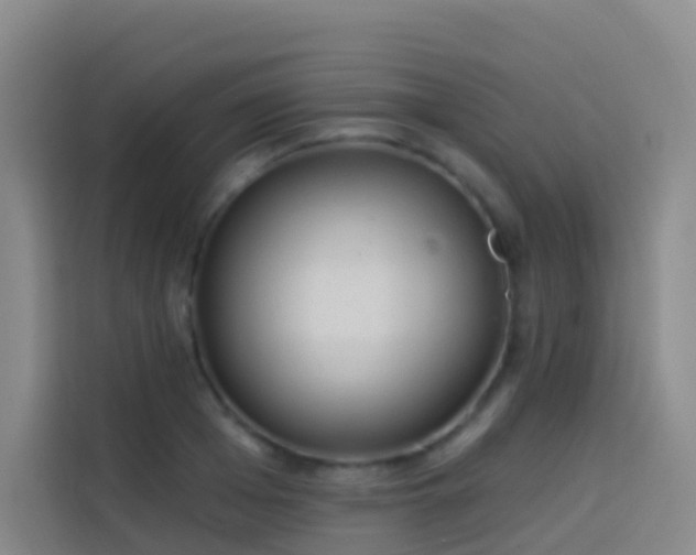 X0000114030985200910021435