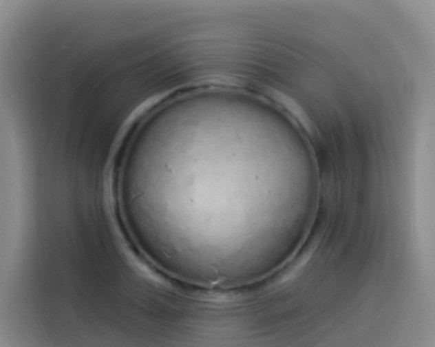 X0000114030987200910021435