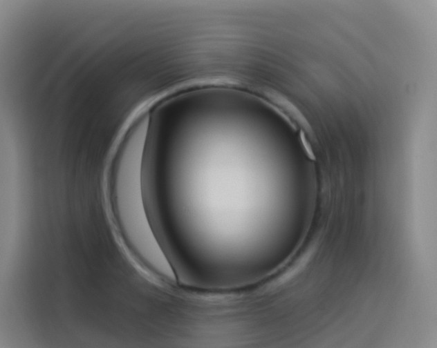 X0000114030989200910021435
