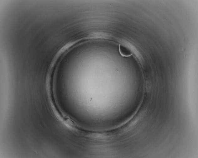 X0000114030995200910021435