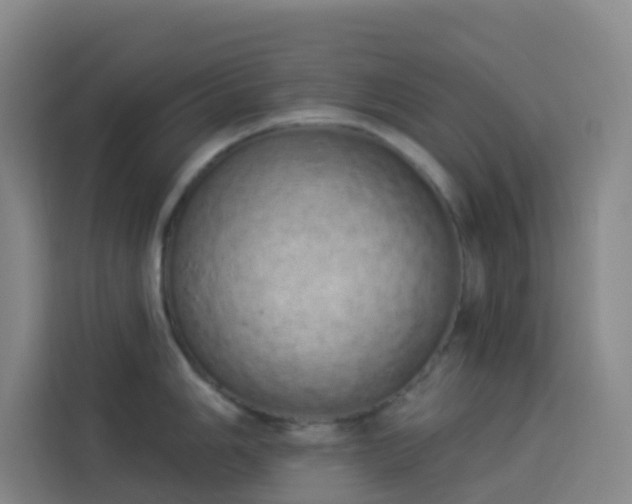 X0000114031006200910021435
