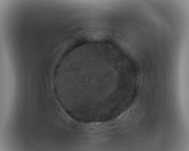X0000114031009200910021434