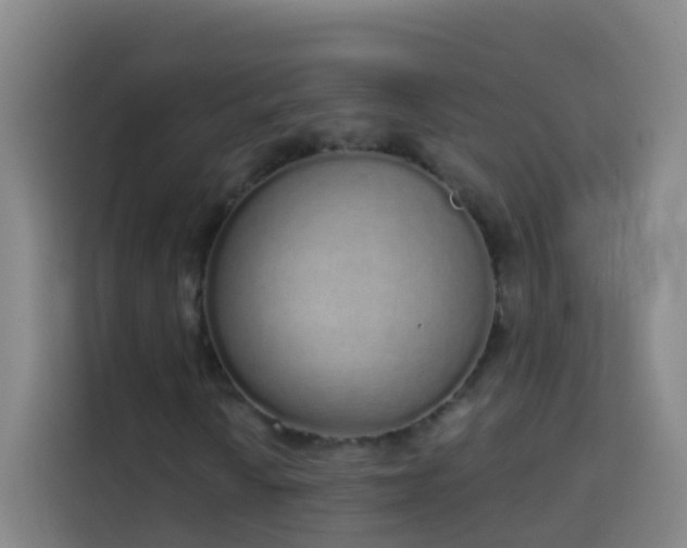 X0000114031010200910021434